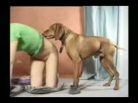 Agile never before filmed teenage hoe gets drilled by a K9 in this shocking bestiality video